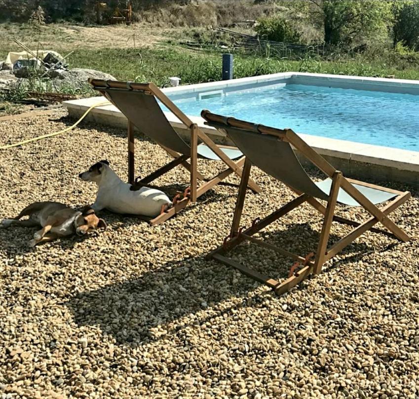 Bastide Bellugue Maison d'hôtes à La Ferme à 3 minutes de Lourmarin Cadenet Exterior foto