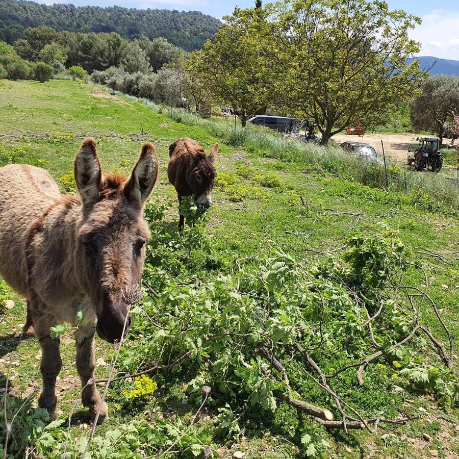 Bastide Bellugue Maison d'hôtes à La Ferme à 3 minutes de Lourmarin Cadenet Exterior foto