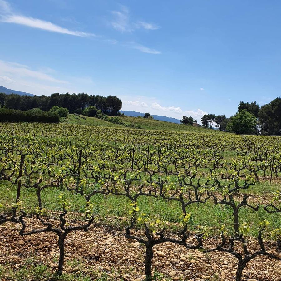 Bastide Bellugue Maison d'hôtes à La Ferme à 3 minutes de Lourmarin Cadenet Exterior foto