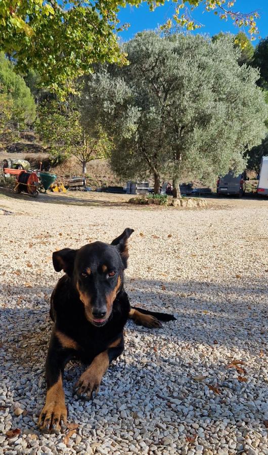 Bastide Bellugue Maison d'hôtes à La Ferme à 3 minutes de Lourmarin Acomodação com café da manhã Cadenet Exterior foto