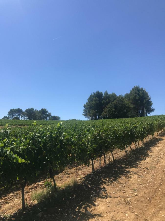 Bastide Bellugue Maison d'hôtes à La Ferme à 3 minutes de Lourmarin Acomodação com café da manhã Cadenet Exterior foto