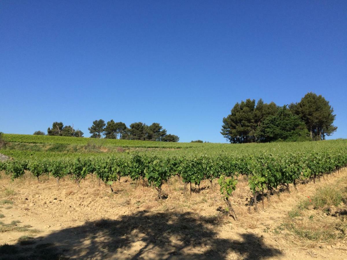 Bastide Bellugue Maison d'hôtes à La Ferme à 3 minutes de Lourmarin Cadenet Exterior foto