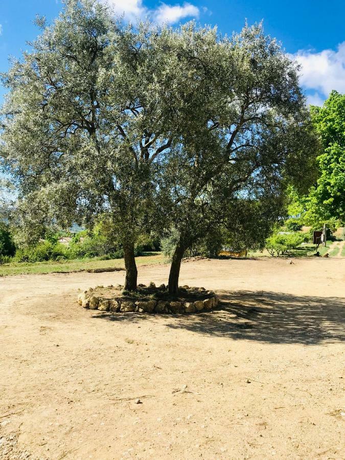 Bastide Bellugue Maison d'hôtes à La Ferme à 3 minutes de Lourmarin Cadenet Exterior foto